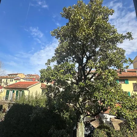 Il Gelsomino Apartment Florence