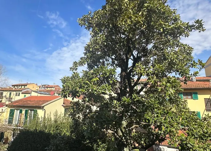 Il Gelsomino Apartment Florence